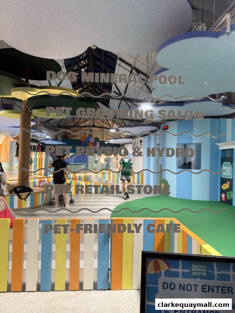 View through a window of a pet wellness center with services listed.