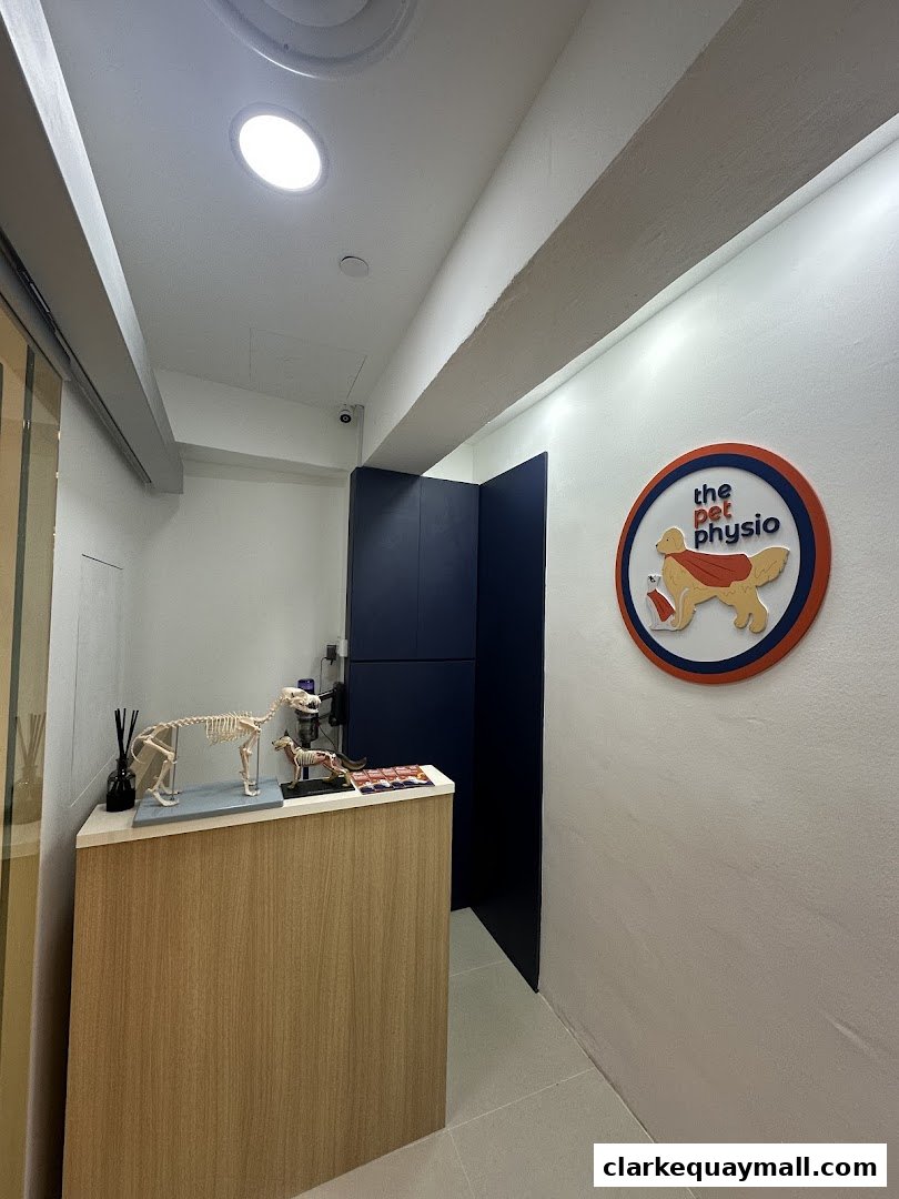 Interior shot of The Pet Physio with a reception desk and anatomical models.