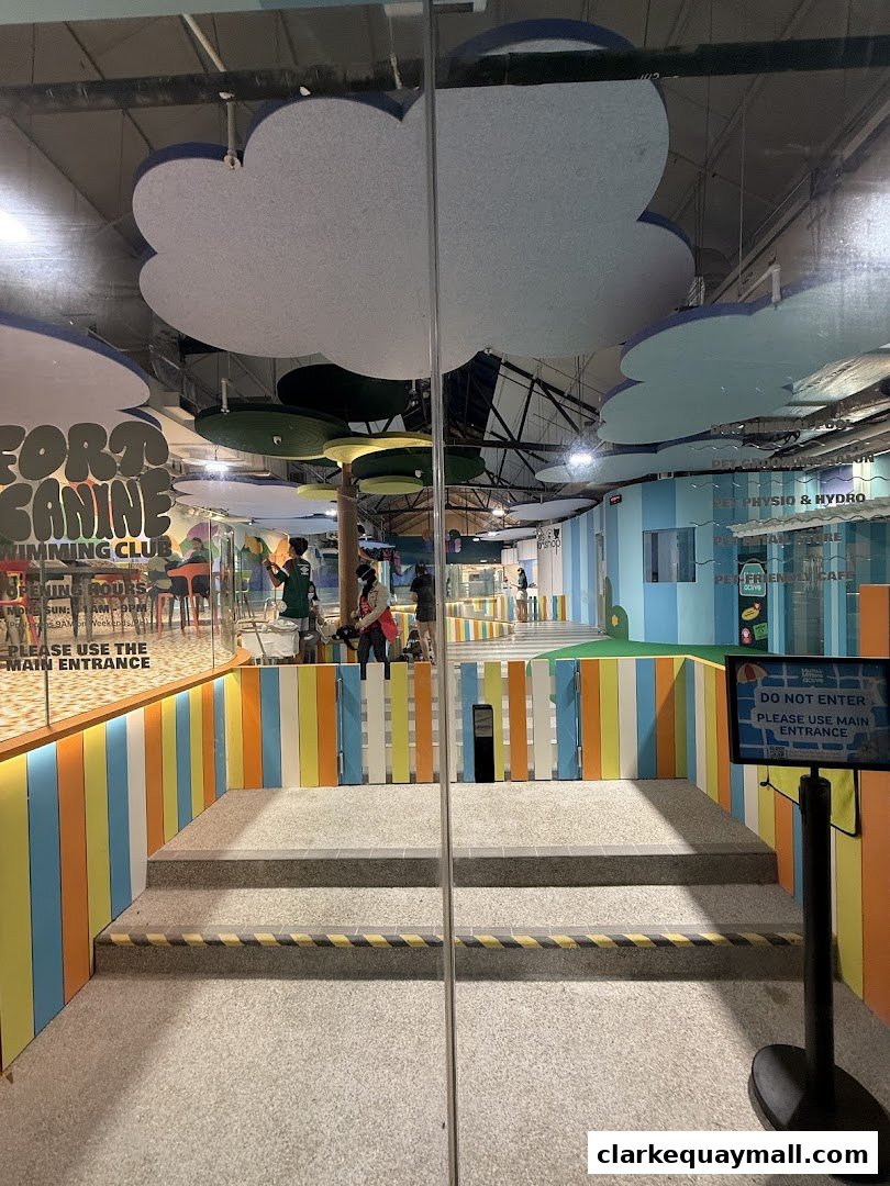 Entrance to The Pet Physio with colorful walls and cloud decorations.