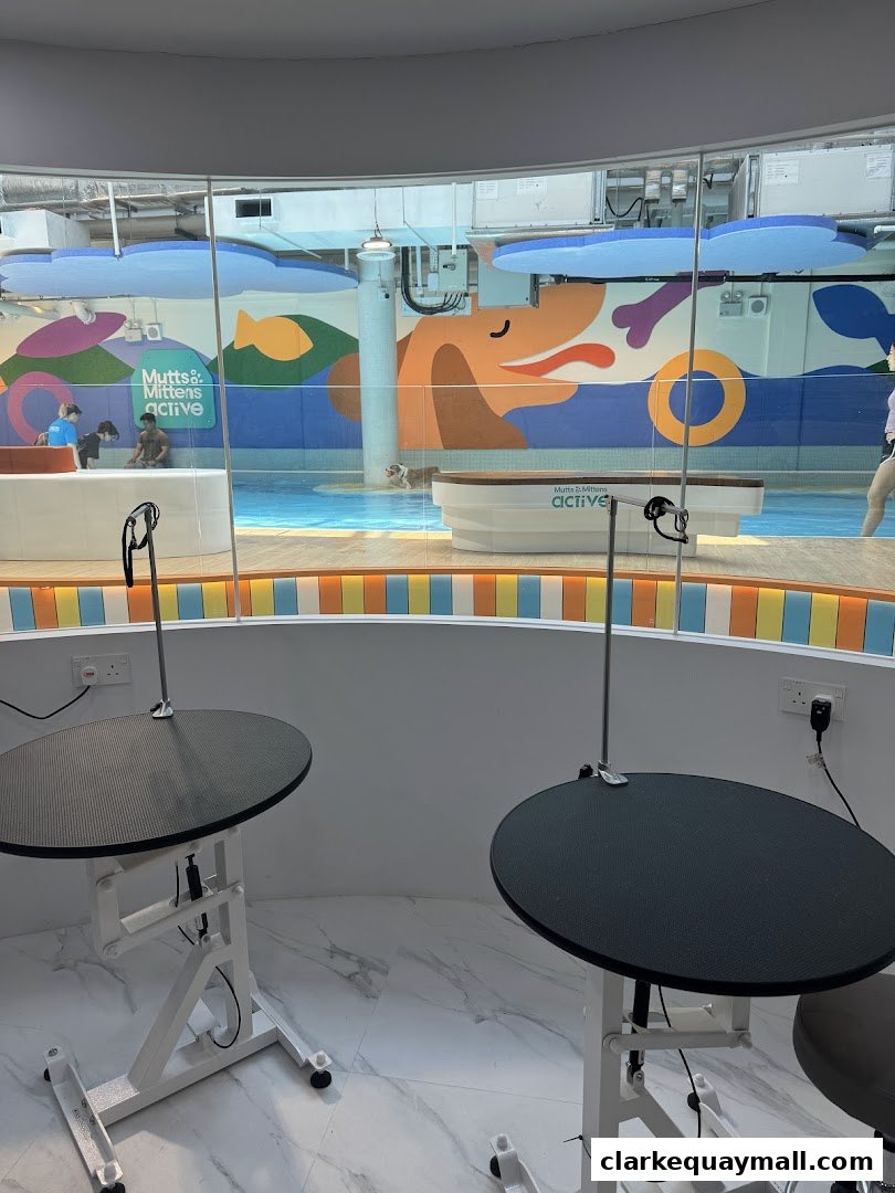 Interior view of a pet grooming salon with grooming tables and a swimming pool area.
