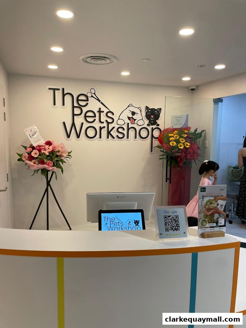The reception area of The Pets Workshop, featuring a counter, computer, and floral decorations.