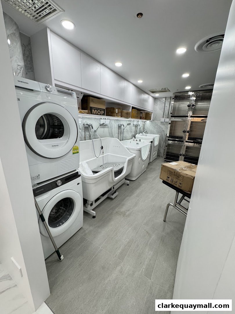 Interior of a pet grooming salon with washing stations, dryers, and cages.