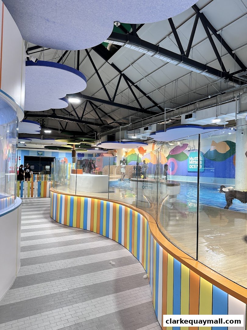 Interior view of a pet grooming and activity center with a swimming pool and colorful decor.