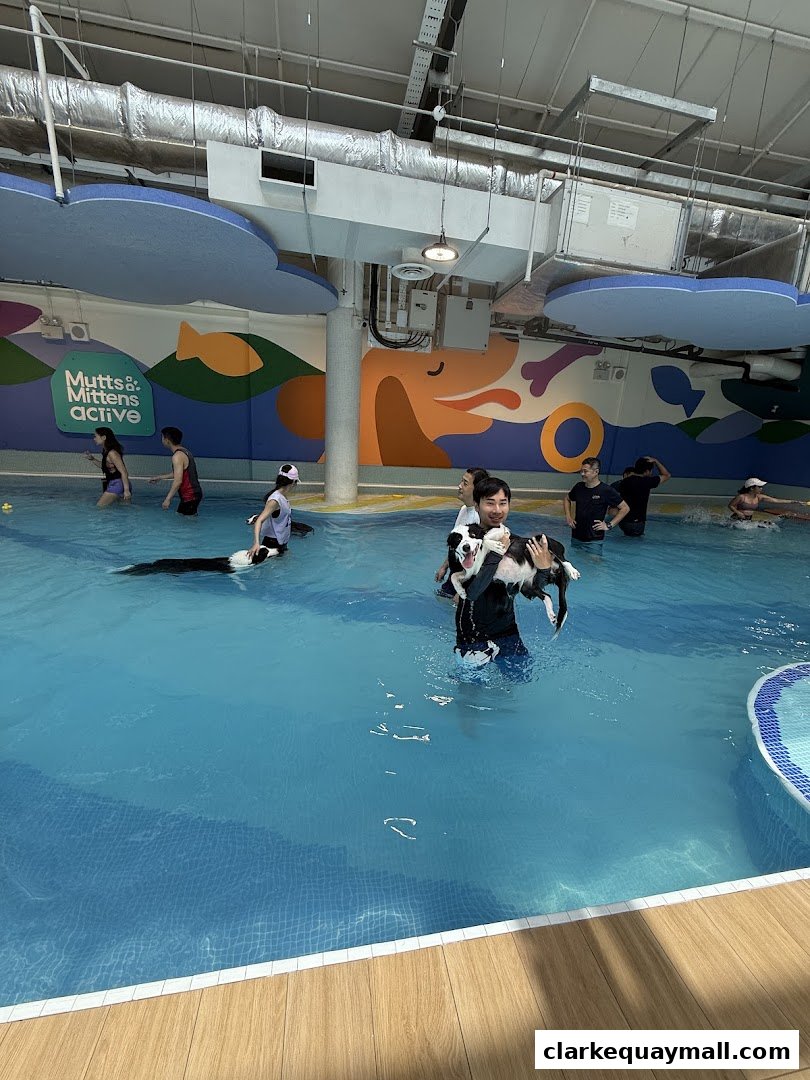 People and dogs enjoying a swimming session at an indoor dog pool.