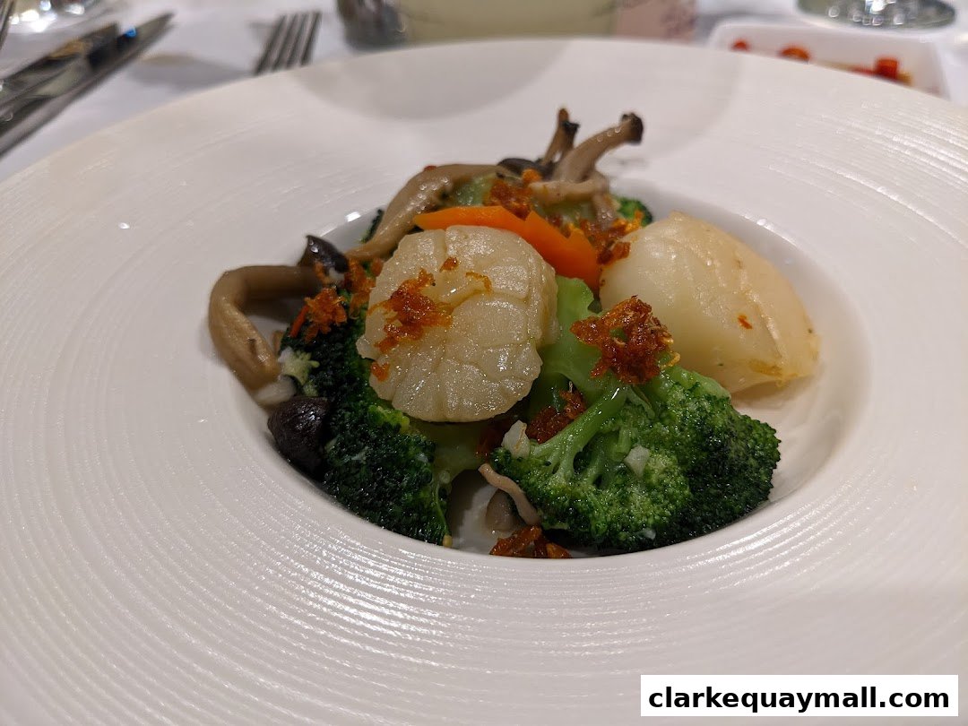 A white plate with a dish of scallops, broccoli, mushrooms, and carrots.