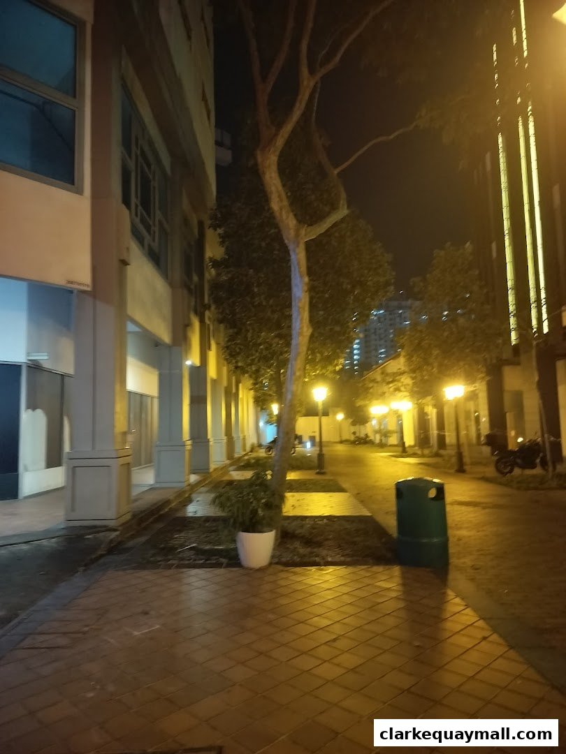 A nighttime view of a paved walkway lined with trees and illuminated by streetlights.