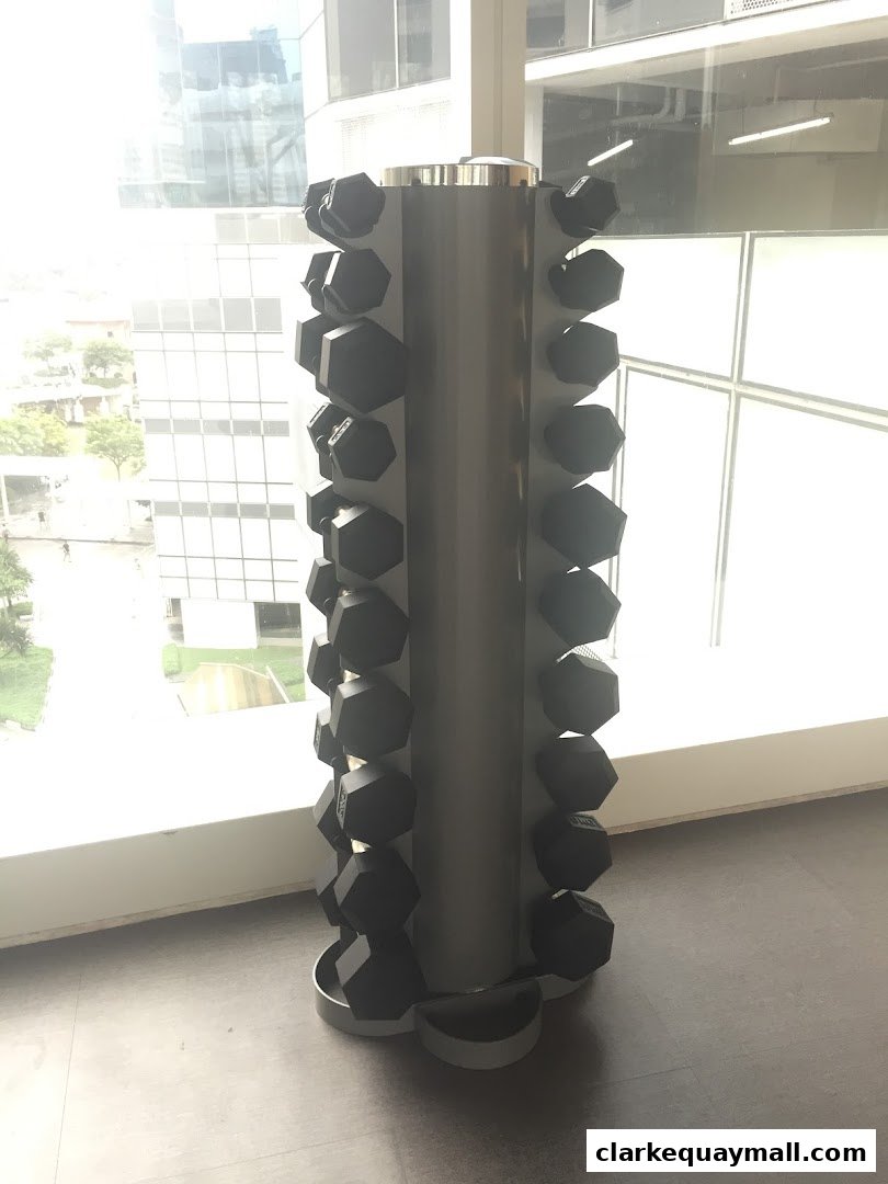 A rack of hexagonal dumbbells stands by a large window with a city view.