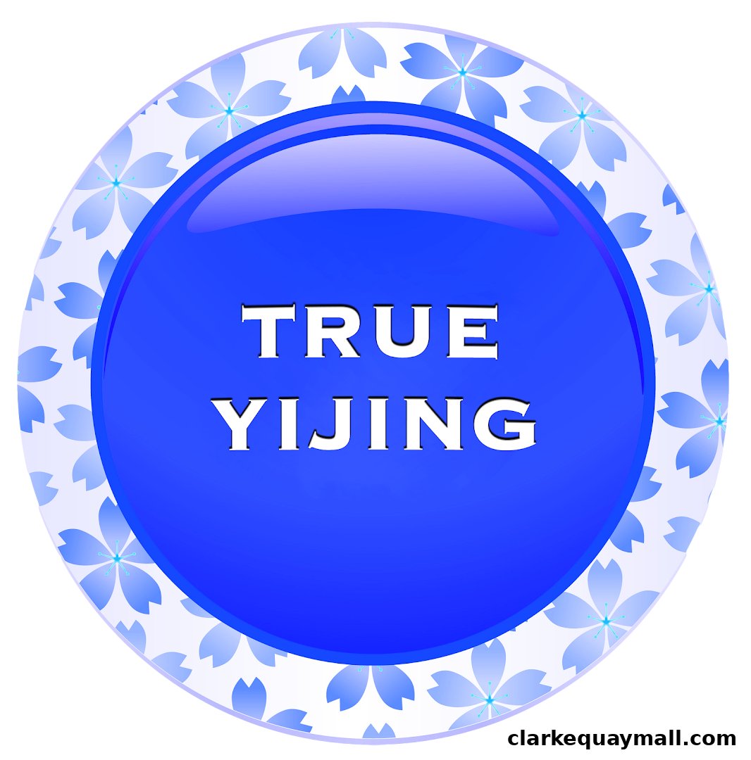 A circular logo with the text 'TRUE YIJING' on a blue background with floral accents.