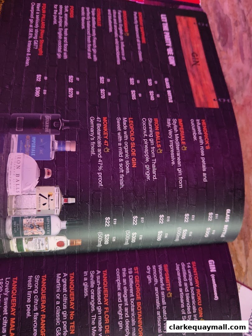 A close-up view of a gin menu with various brands and descriptions.