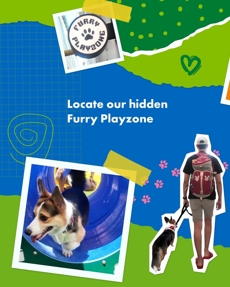 A happy dog exploring the outdoor spaces at Clarke Quay.